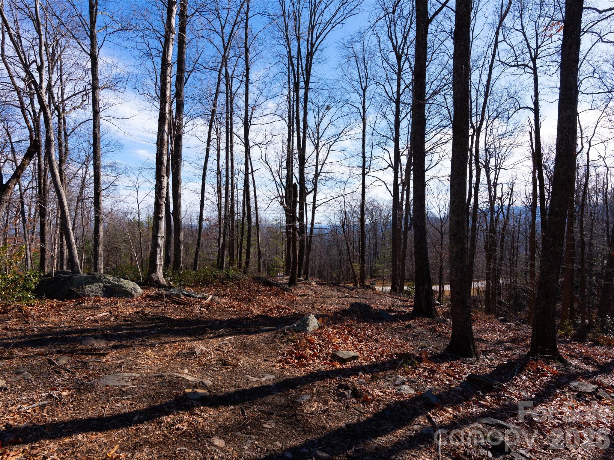 220 Chesterfield Drive Mill Spring NC 28756