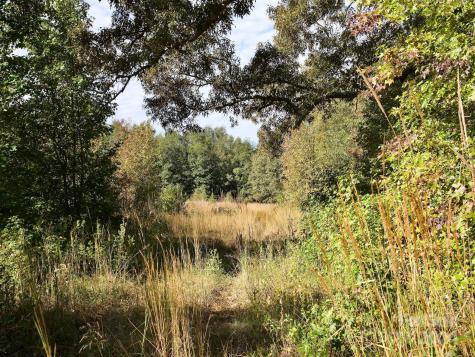 0 Wilkinsville Highway Gaffney SC 29340