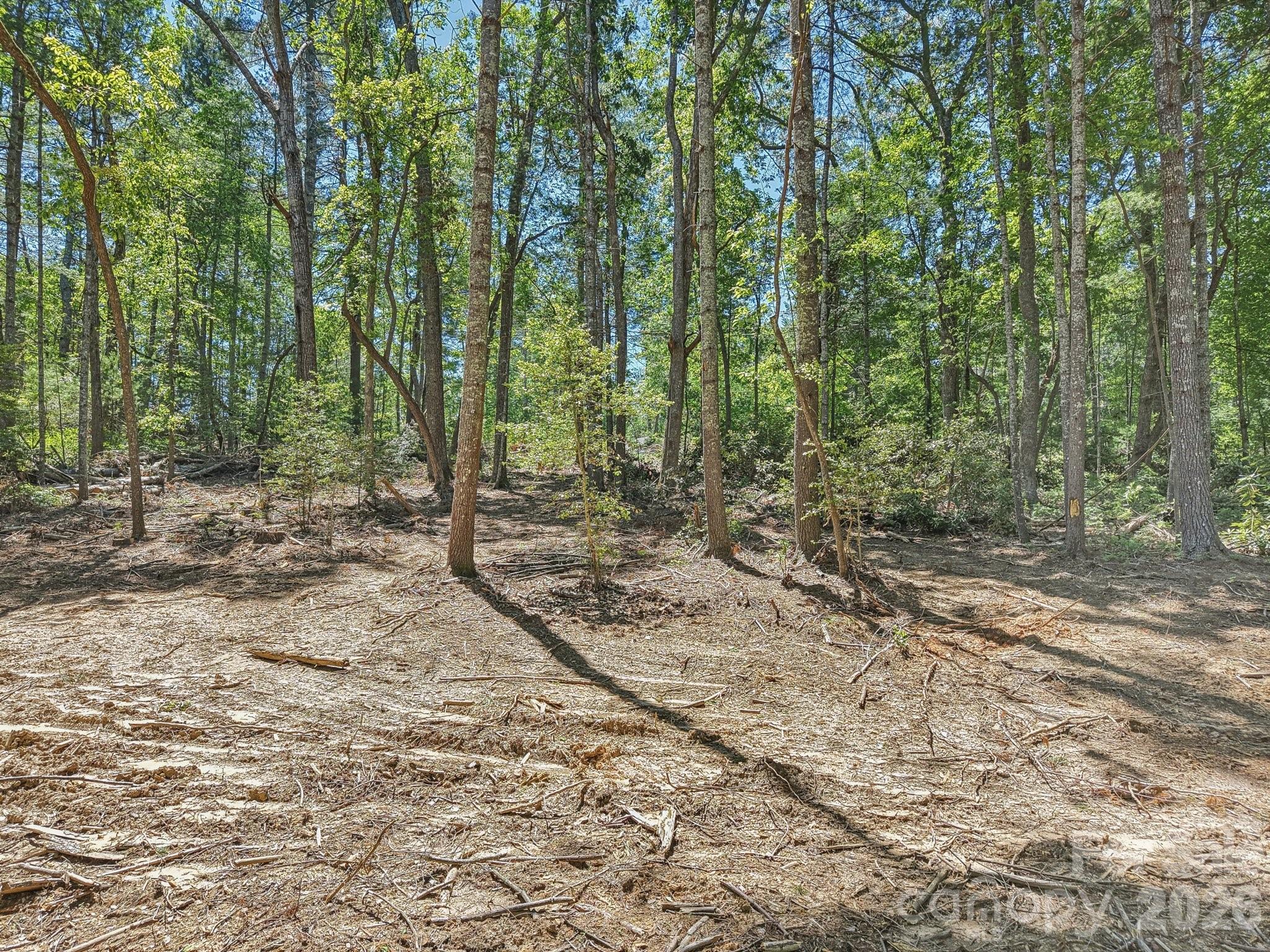 000 Ravenwood Drive Fletcher NC 28732