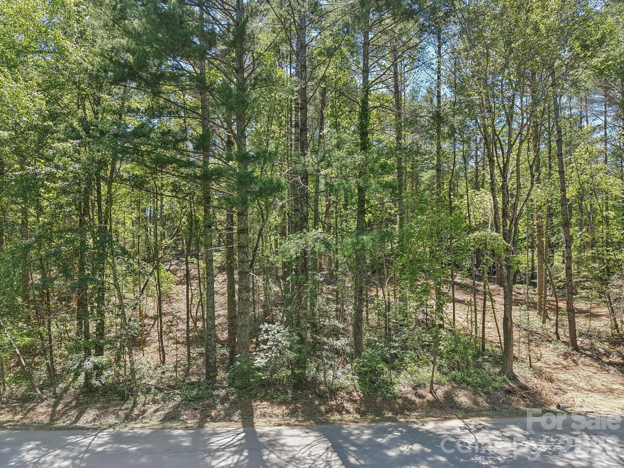 000 Ravenwood Drive Fletcher NC 28732