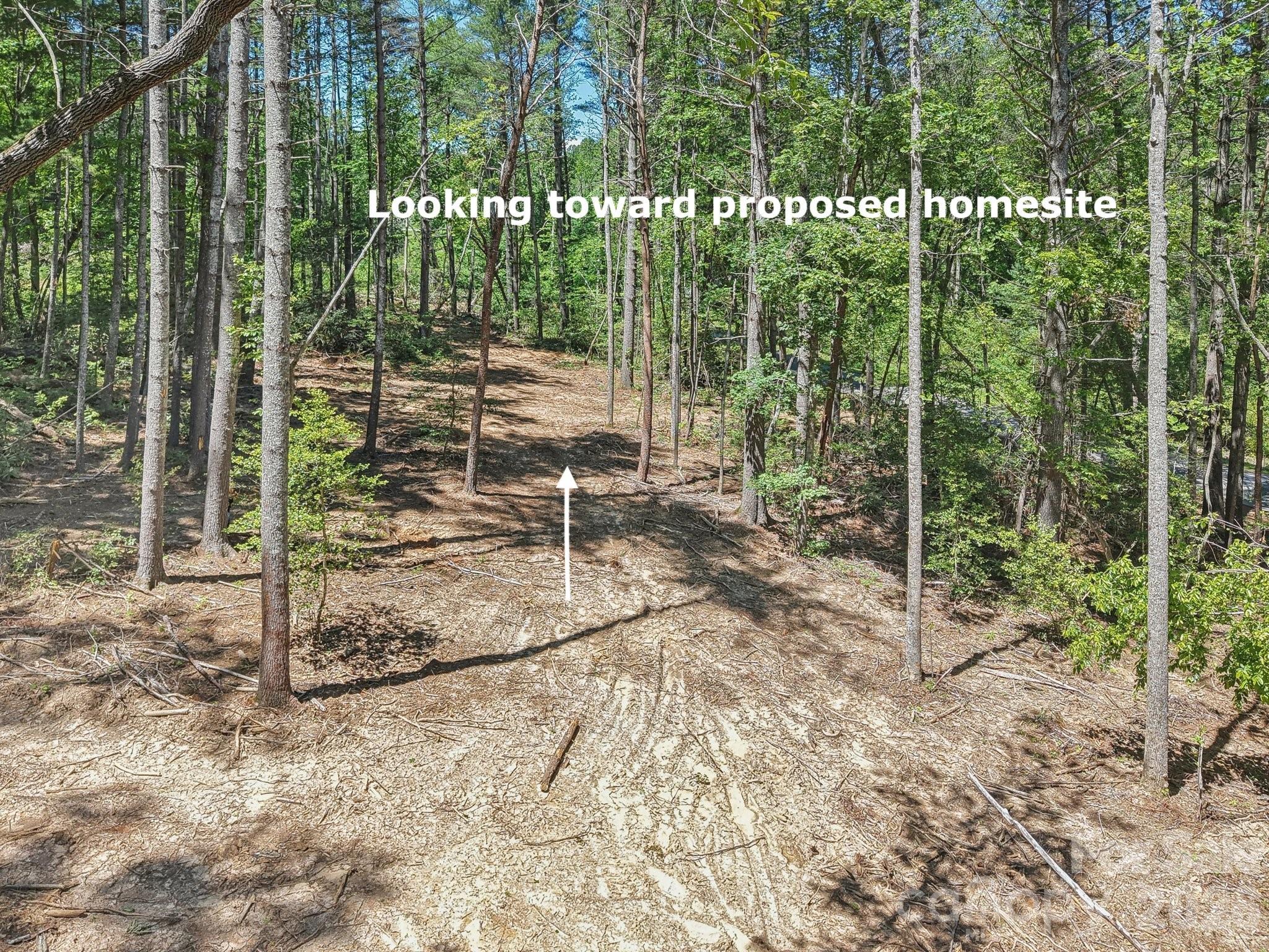 000 Ravenwood Drive Fletcher NC 28732