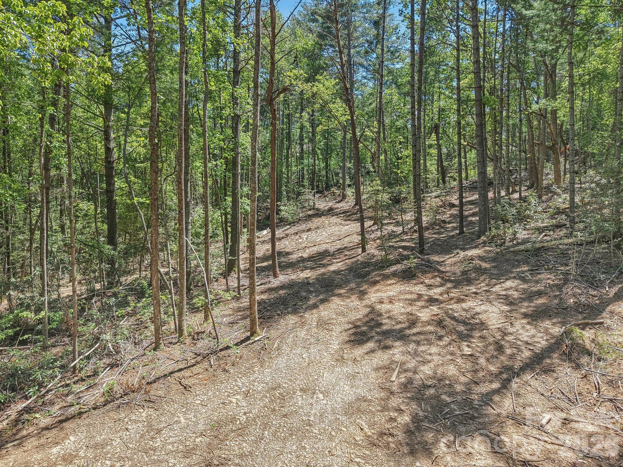 000 Ravenwood Drive Fletcher NC 28732