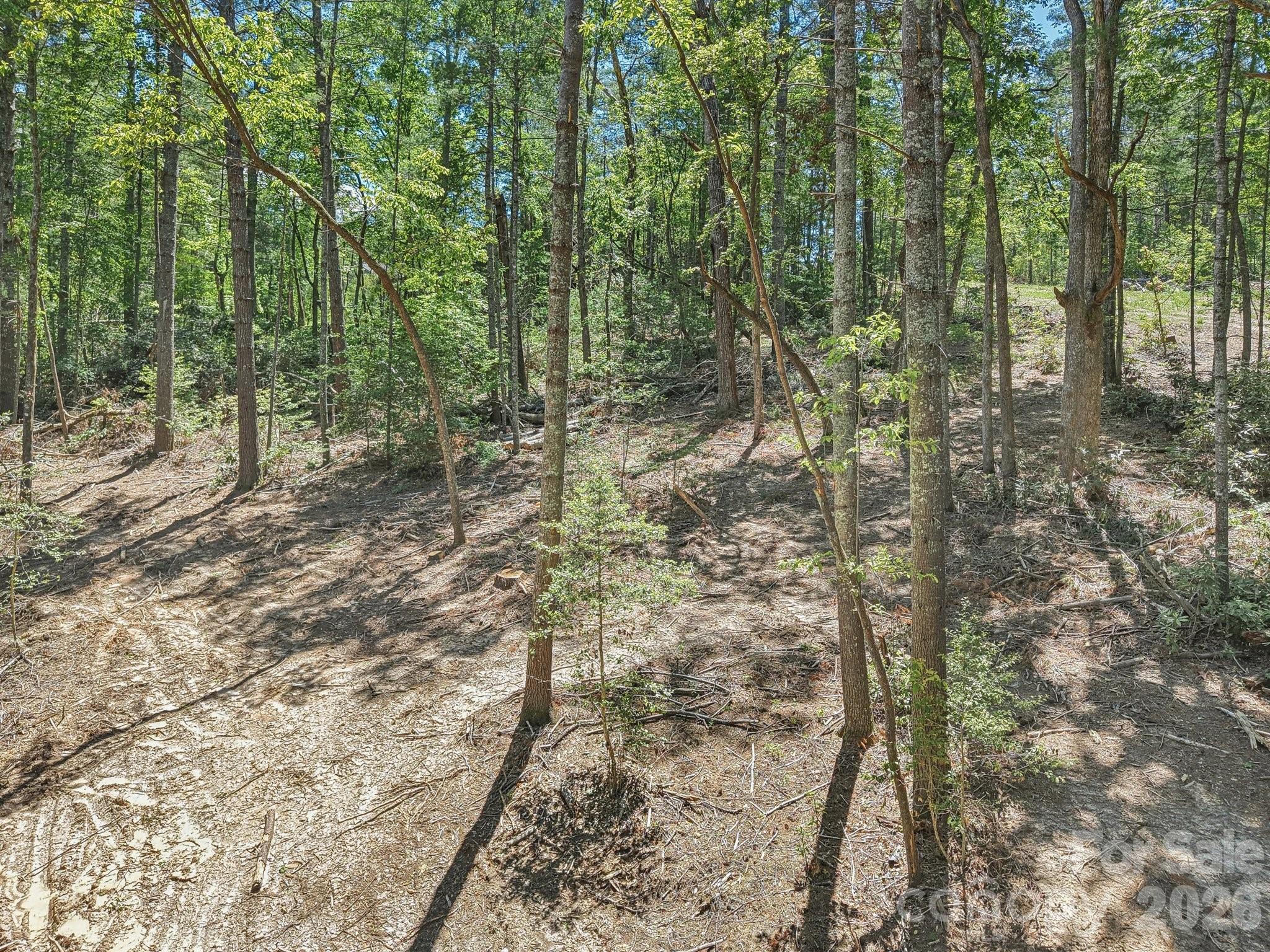 000 Ravenwood Drive Fletcher NC 28732