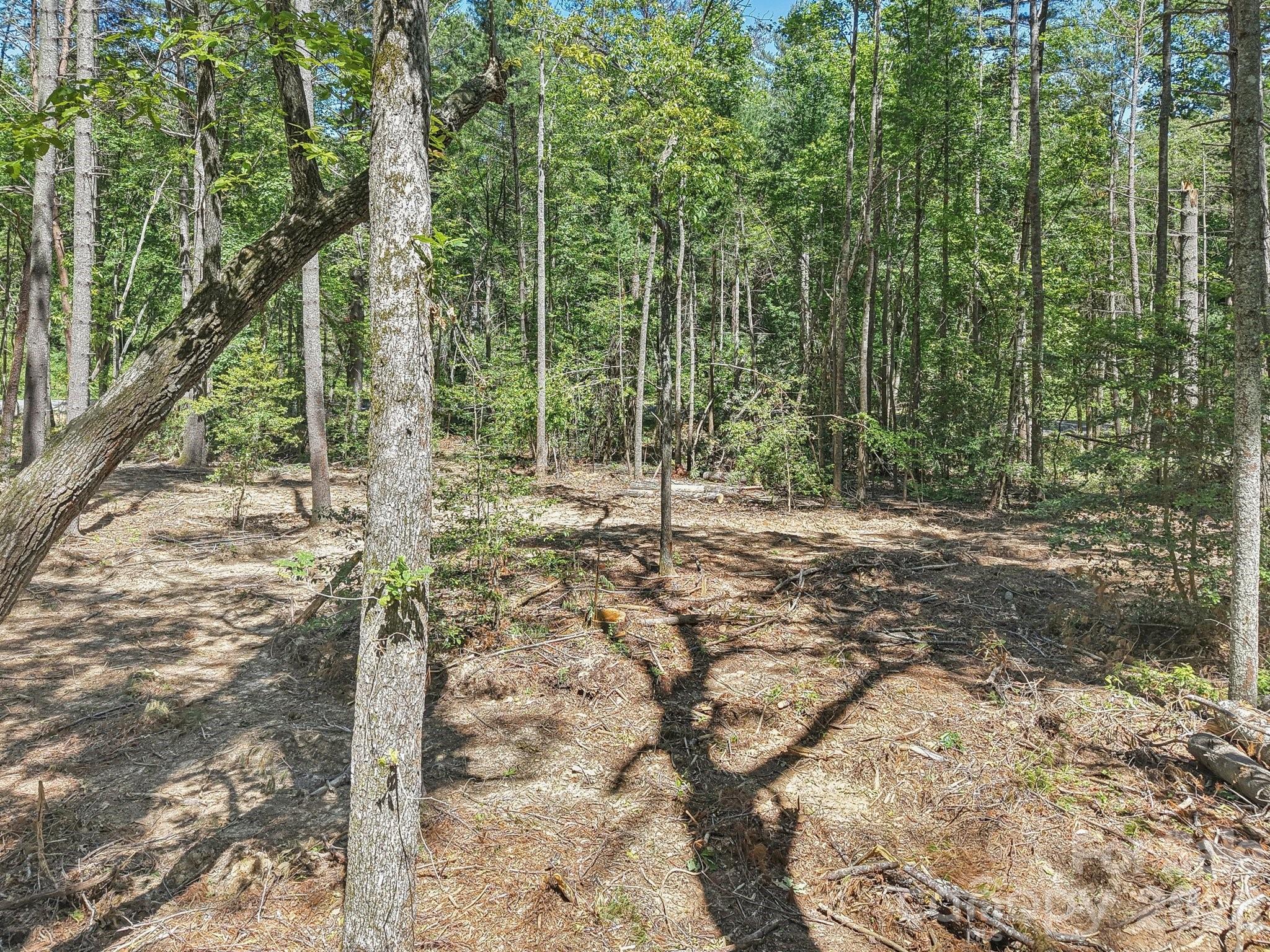 000 Ravenwood Drive Fletcher NC 28732