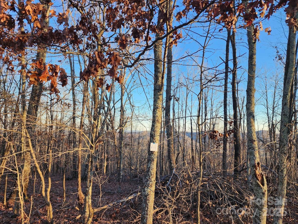 69 Adirondack Lane Bostic NC 28018