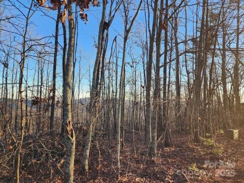 69 Adirondack Lane Bostic NC 28018