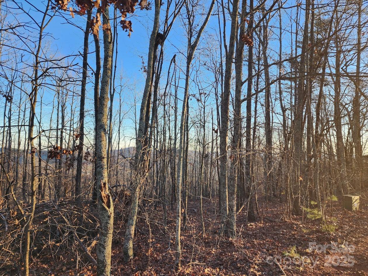 69 Adirondack Lane Bostic NC 28018