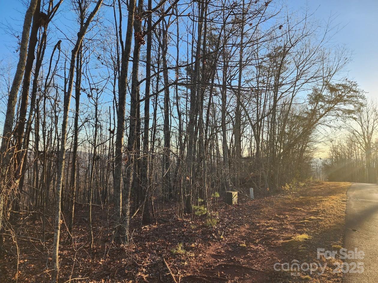69 Adirondack Lane Bostic NC 28018