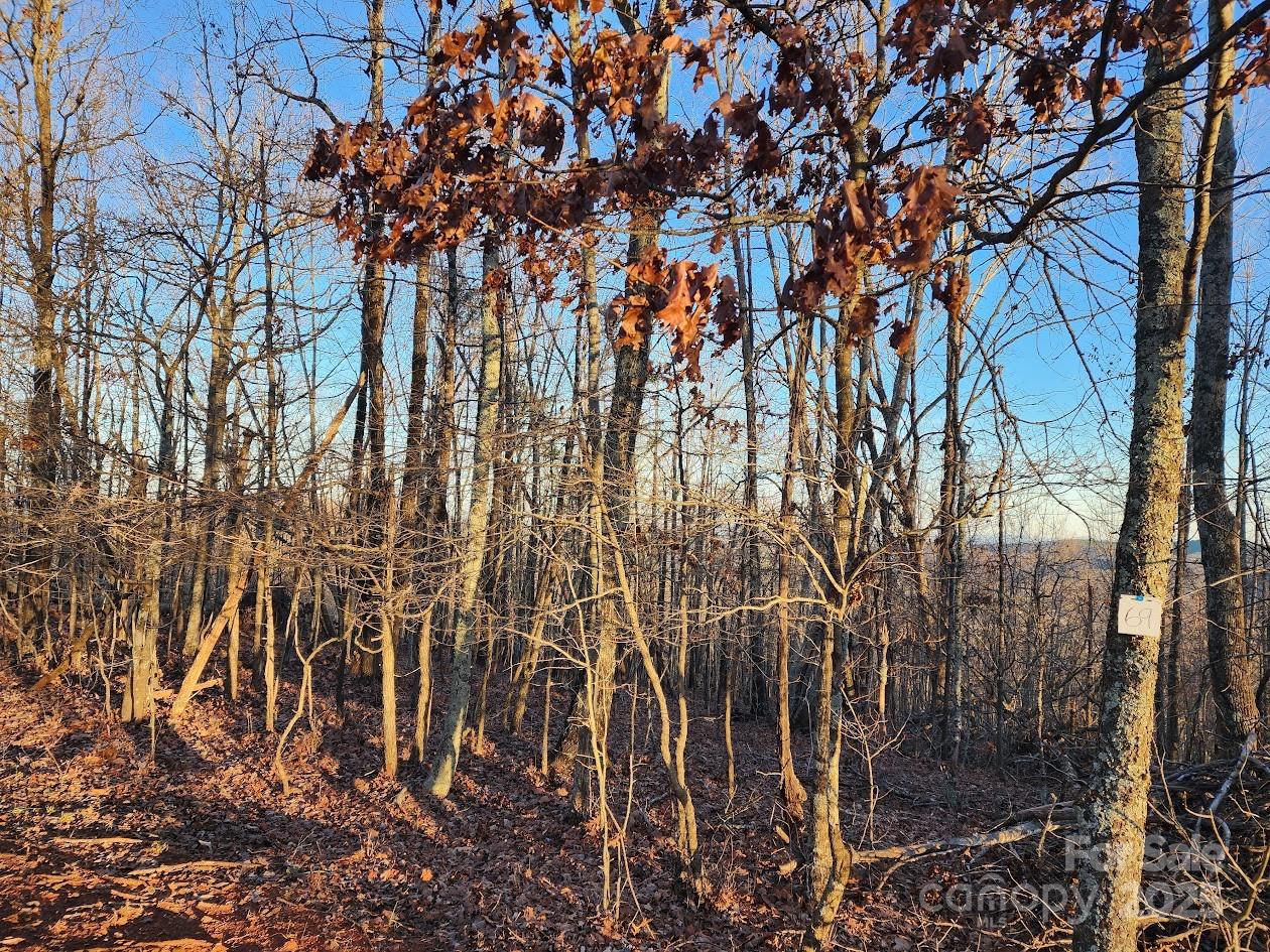 69 Adirondack Lane Bostic NC 28018