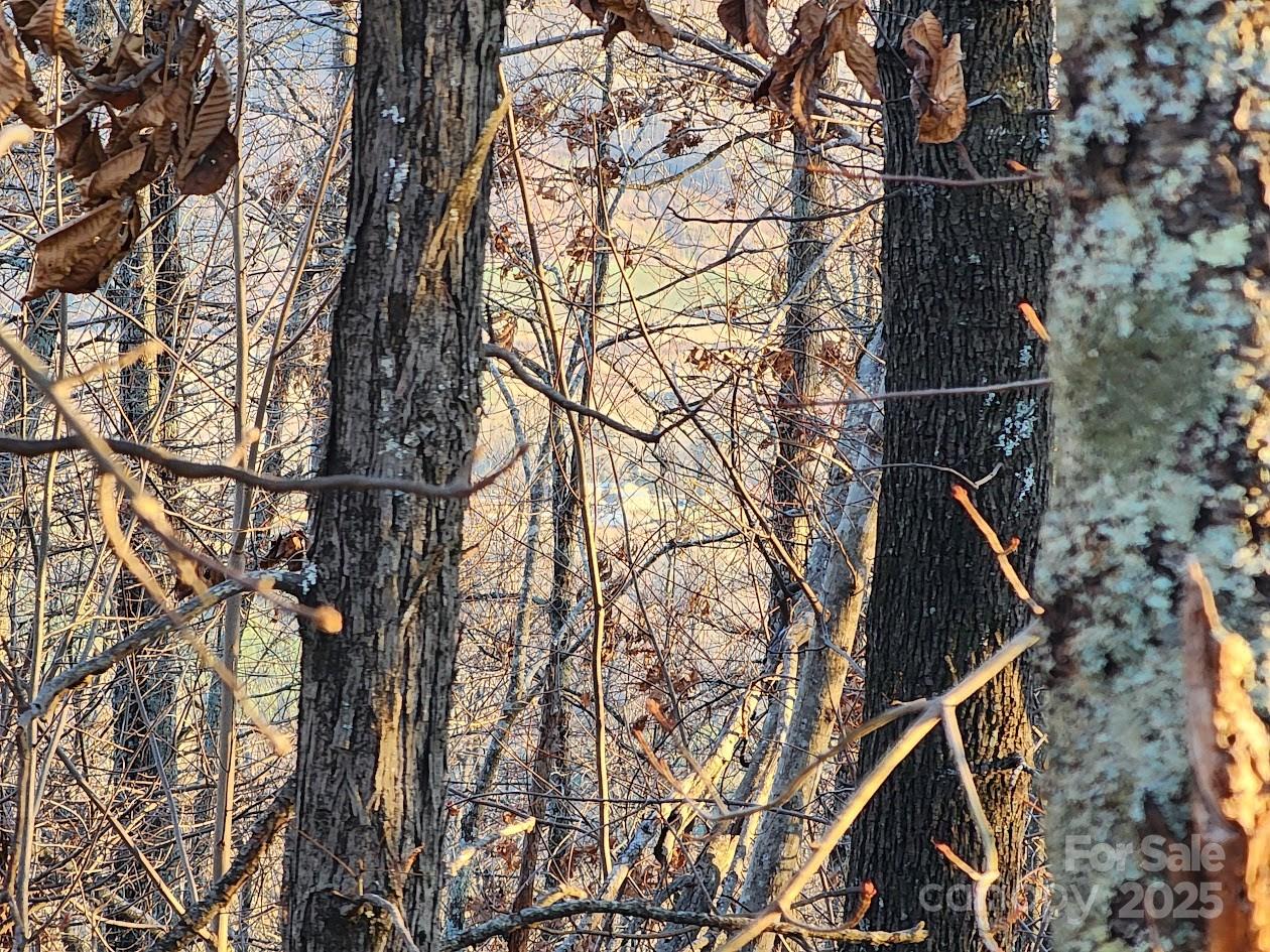 69 Adirondack Lane Bostic NC 28018