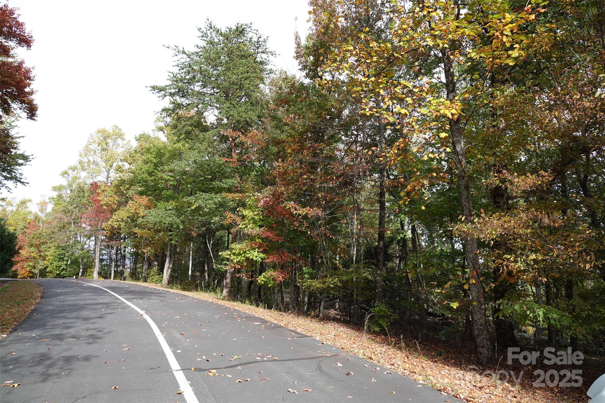 69 Adirondack Lane Bostic NC 28018
