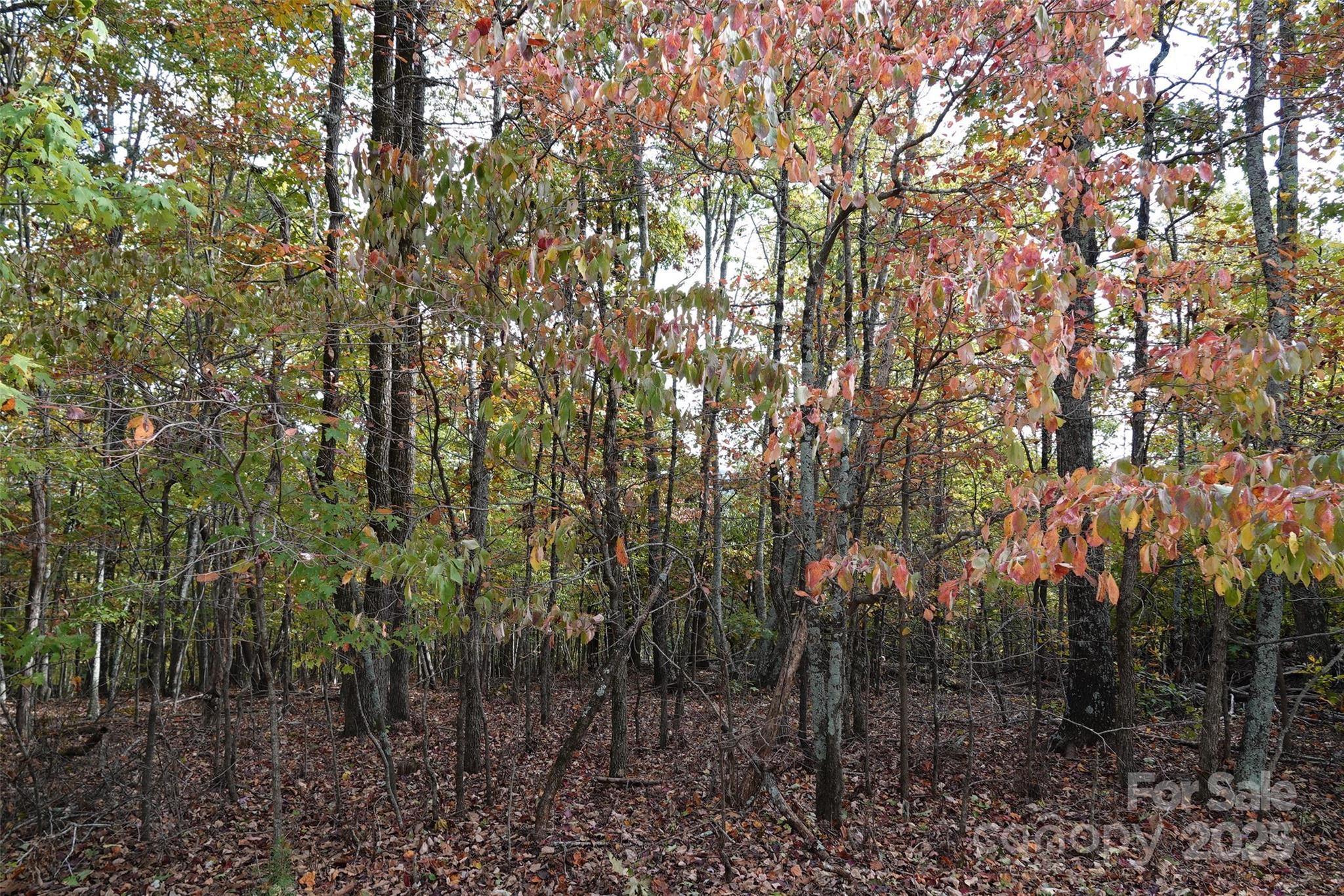 69 Adirondack Lane Bostic NC 28018