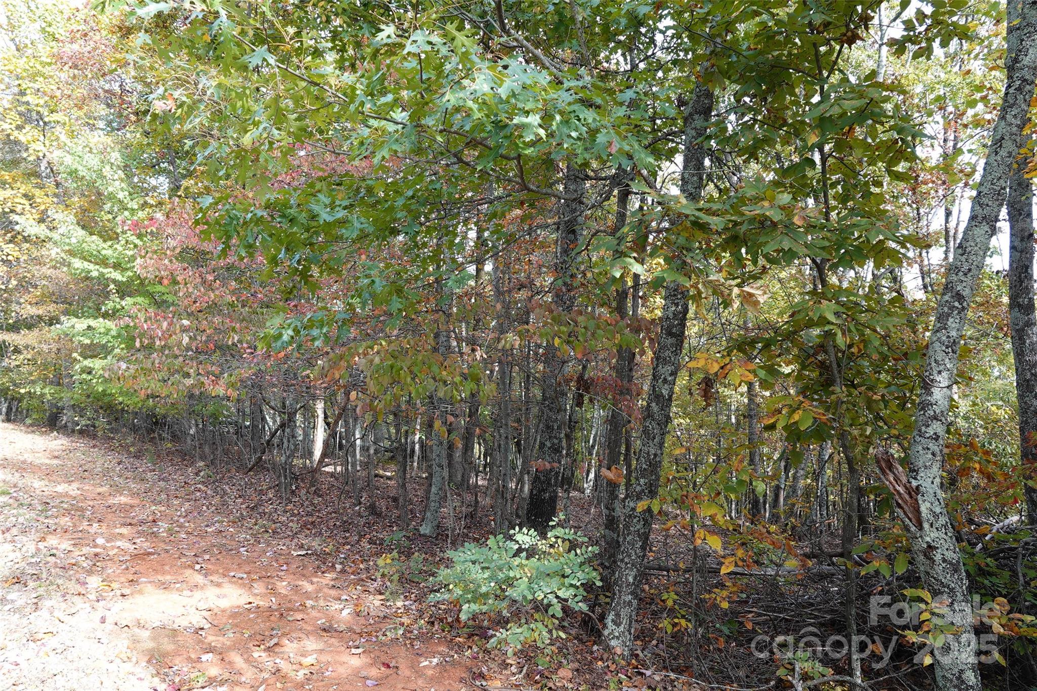 69 Adirondack Lane Bostic NC 28018