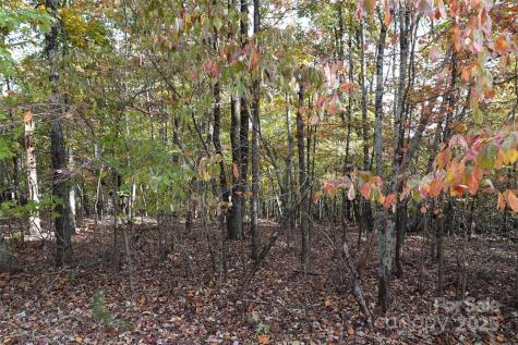 69 Adirondack Lane Bostic NC 28018