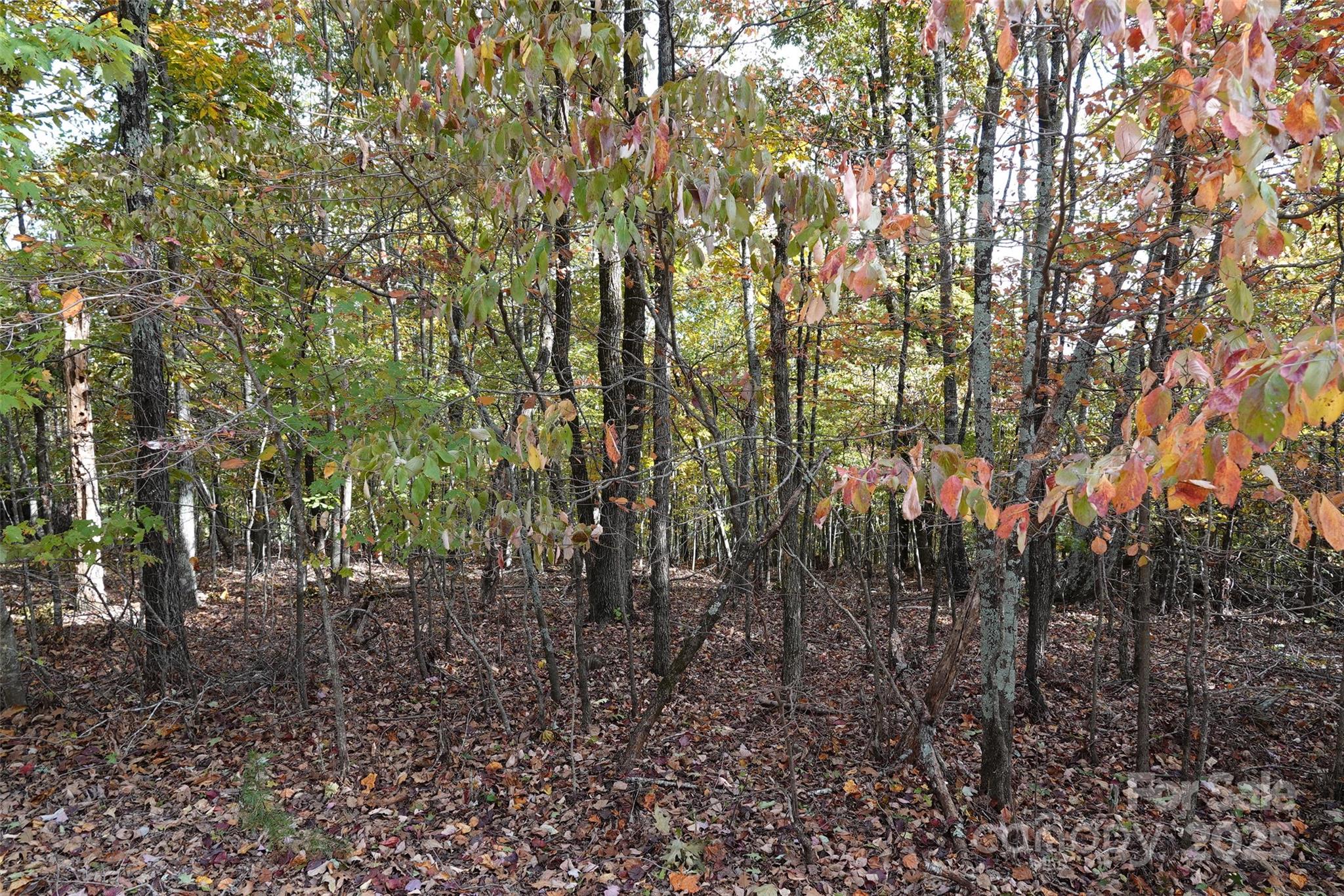 69 Adirondack Lane Bostic NC 28018
