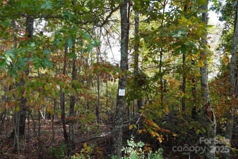 69 Adirondack Lane Bostic NC 28018