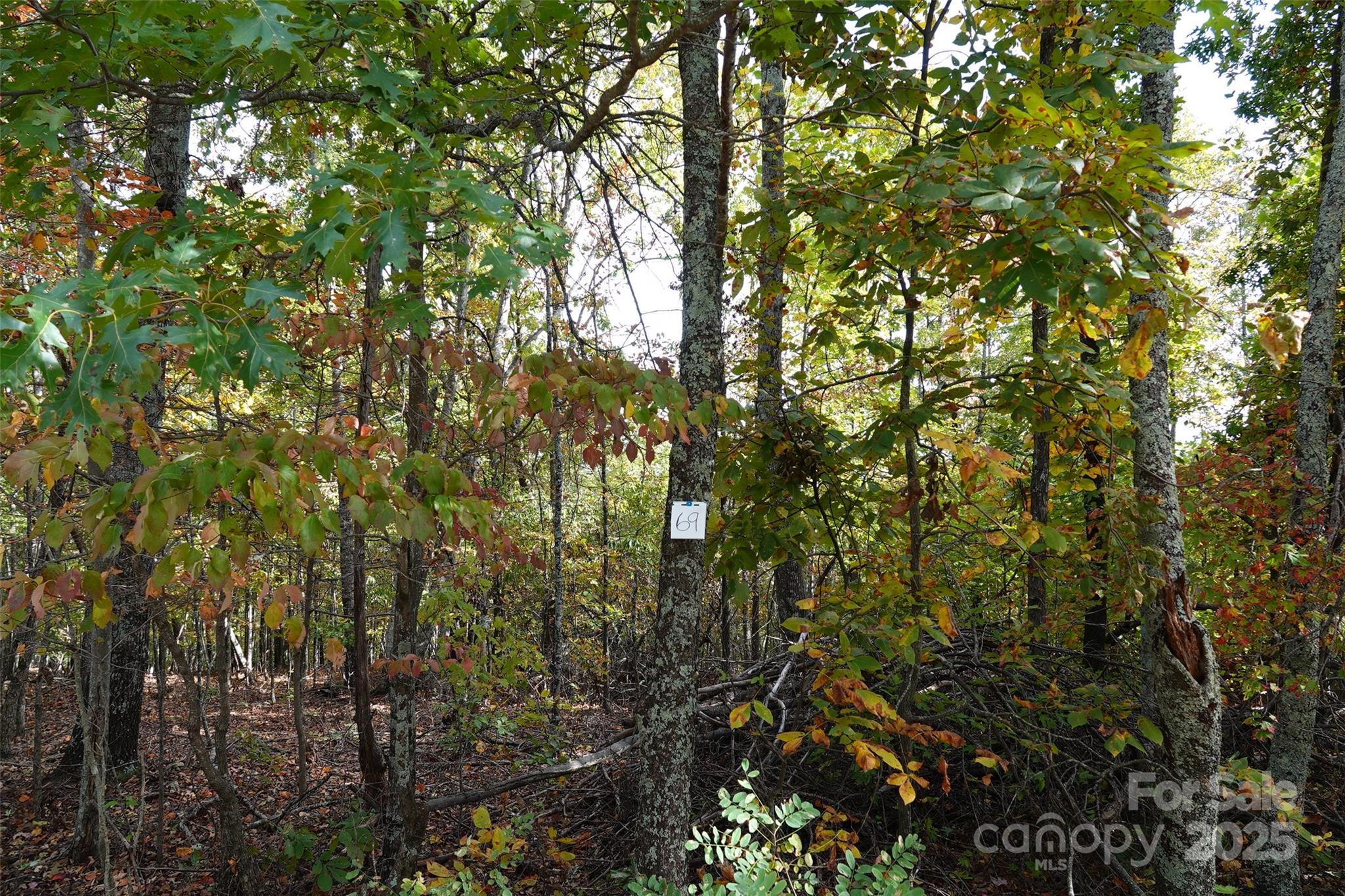 69 Adirondack Lane Bostic NC 28018