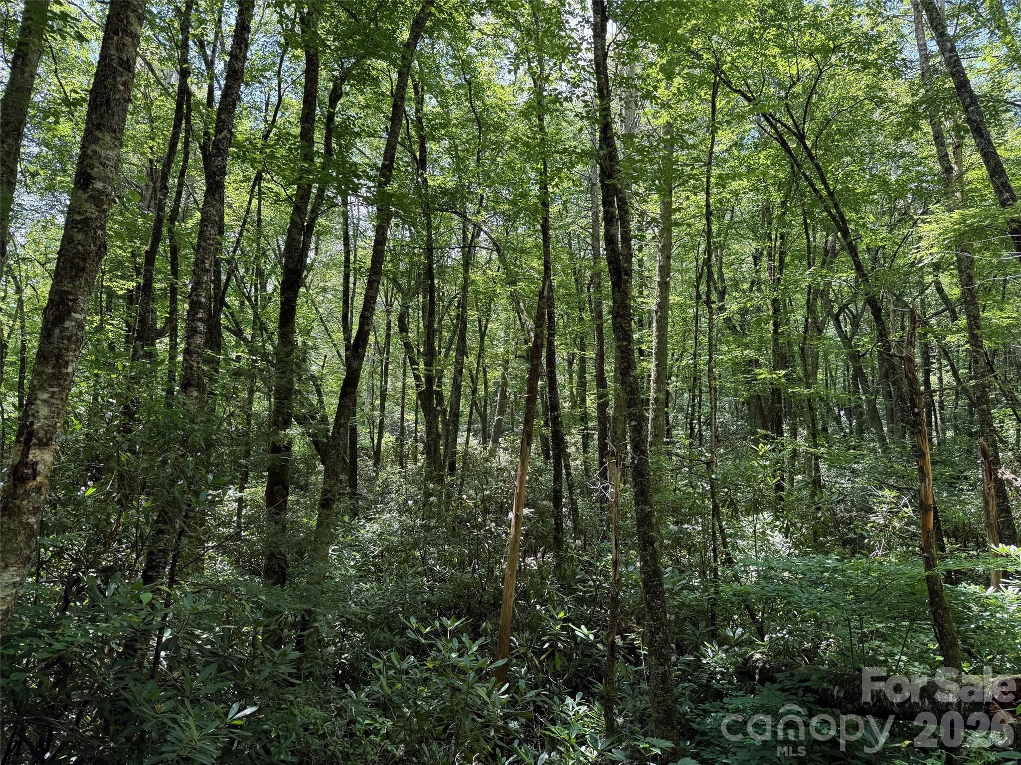 Lot #67 Spring Drive Maggie Valley NC 28751
