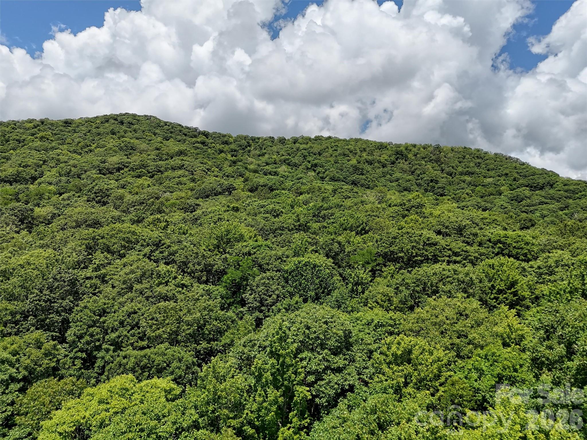 Lot #67 Spring Drive Maggie Valley NC 28751