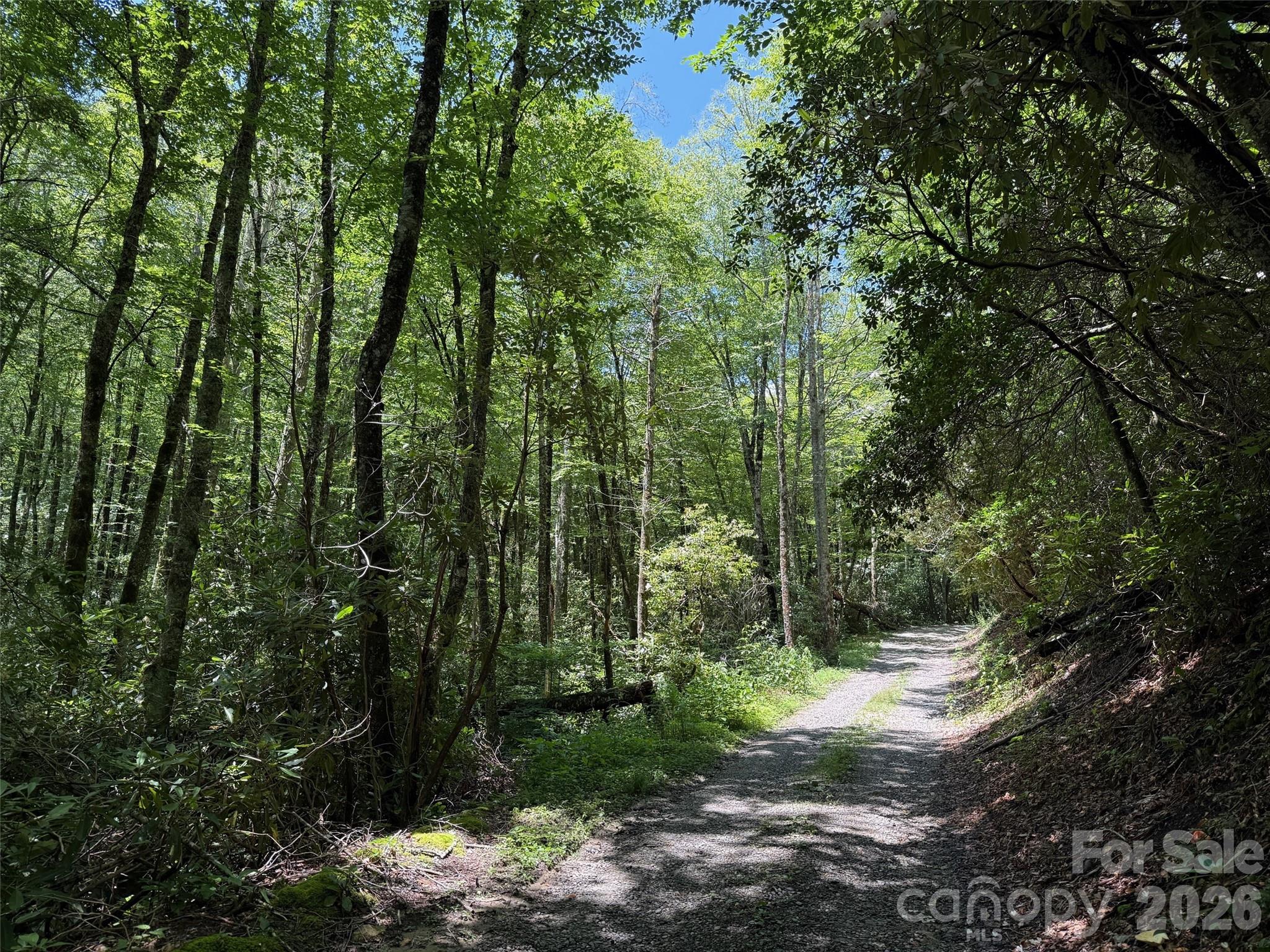 Lot #67 Spring Drive Maggie Valley NC 28751