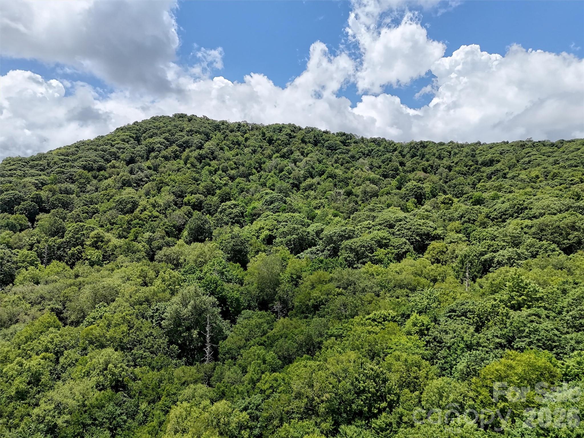 Lot #67 Spring Drive Maggie Valley NC 28751
