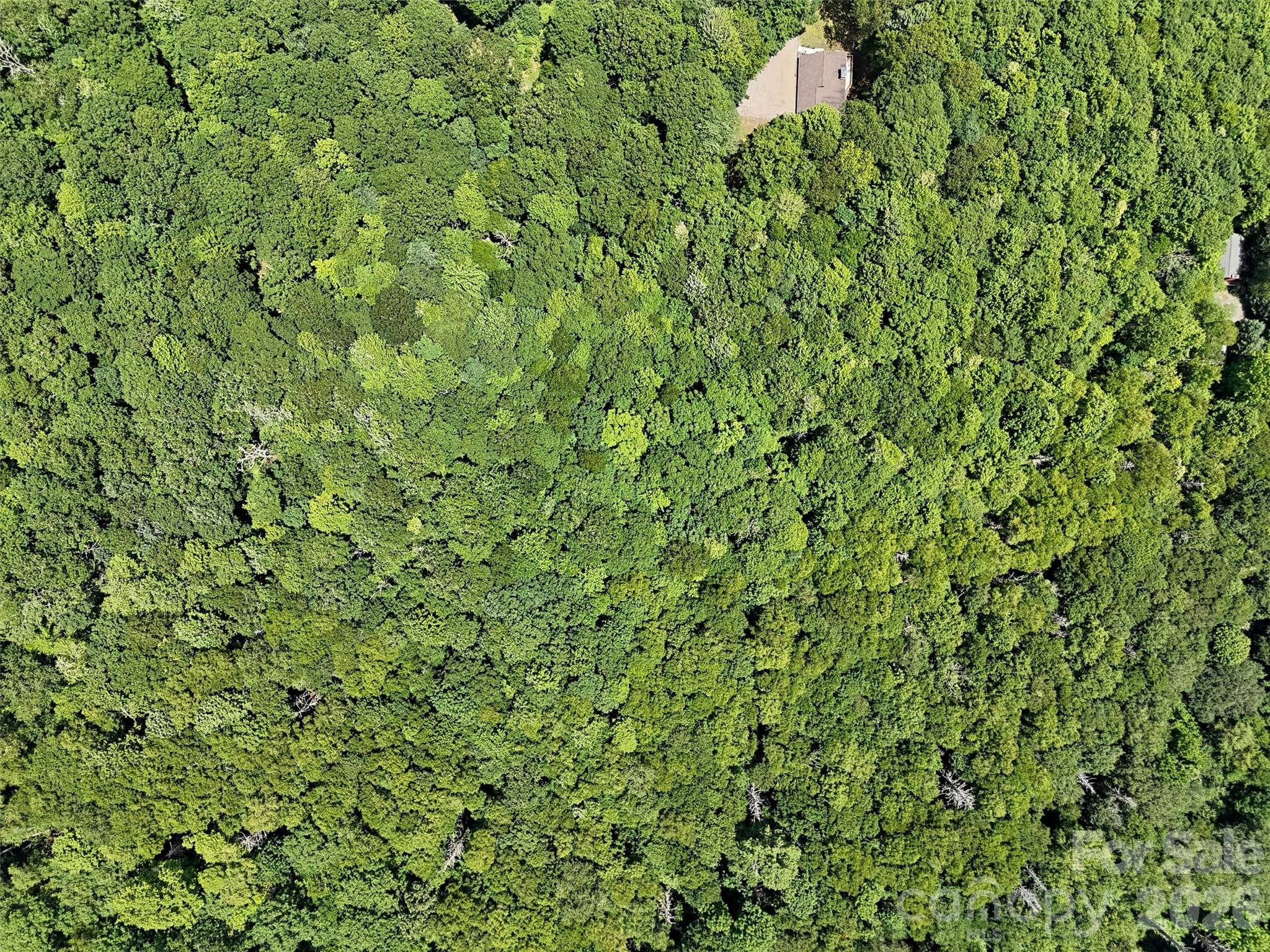 Lot #67 Spring Drive Maggie Valley NC 28751