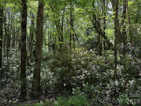 Lot #67 Spring Drive Maggie Valley NC 28751