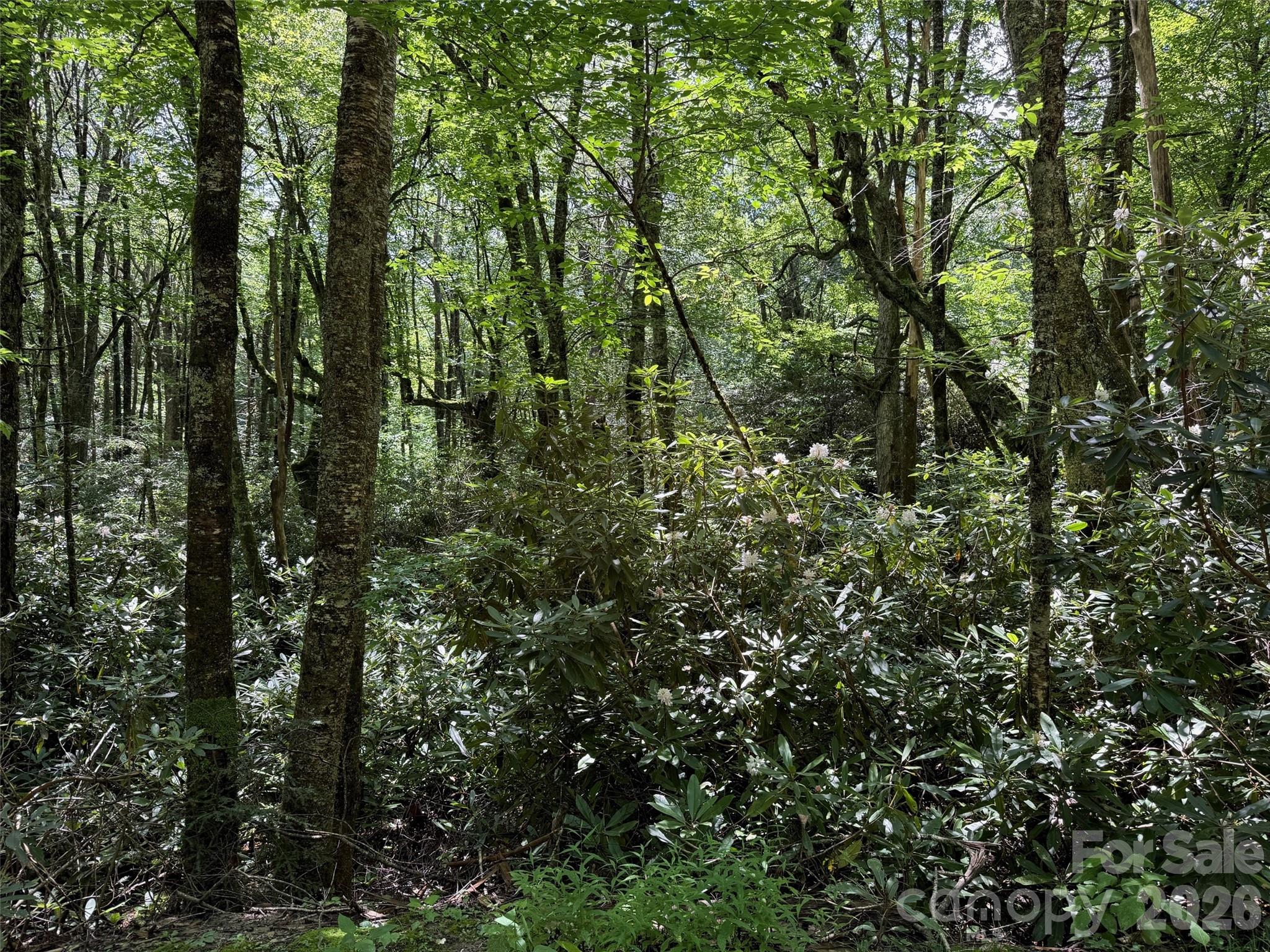 Lot #67 Spring Drive Maggie Valley NC 28751