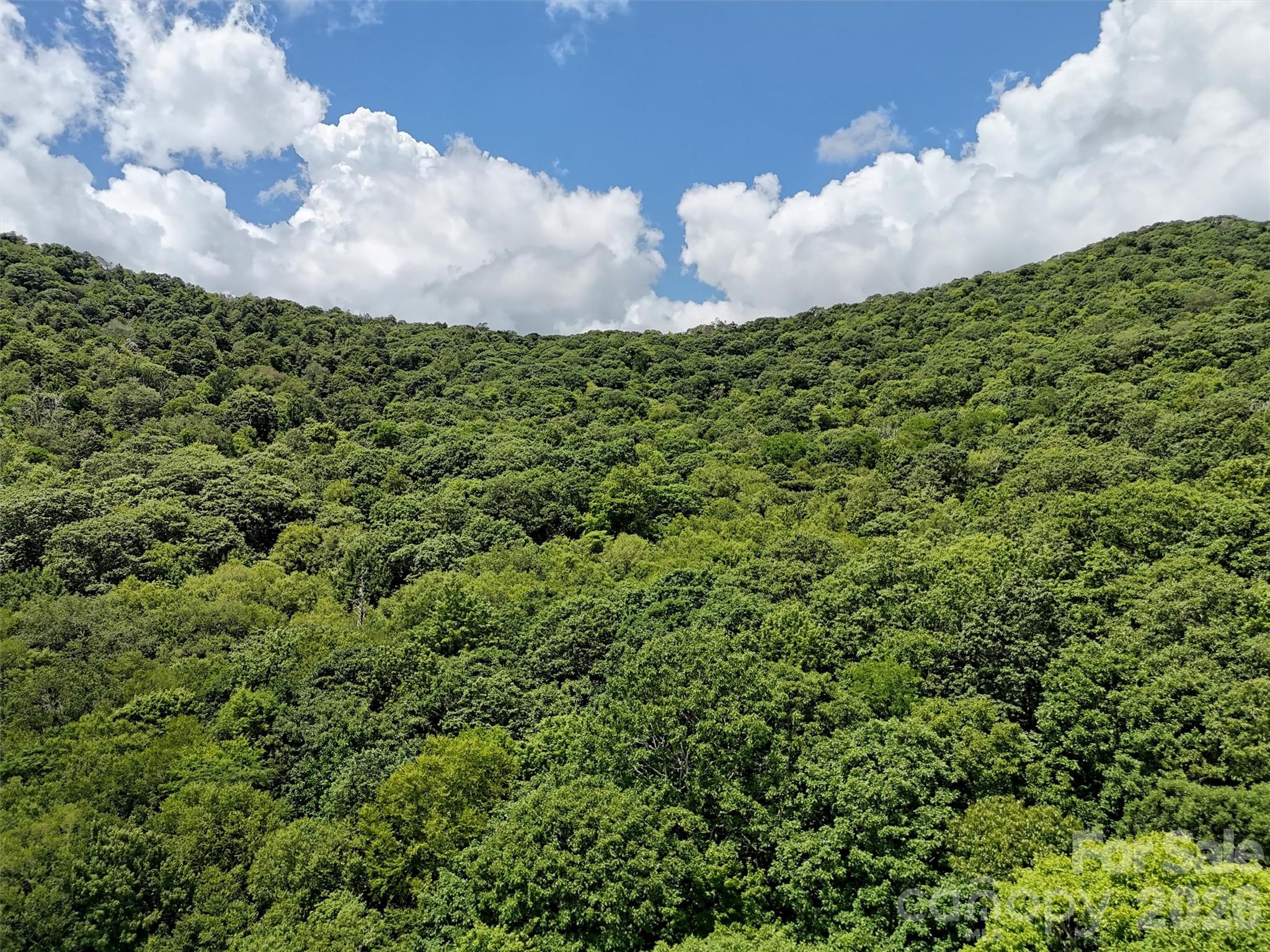 Lot #67 Spring Drive Maggie Valley NC 28751