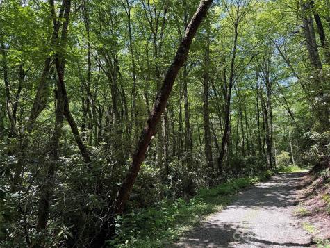Lot #67 Spring Drive Maggie Valley NC 28751