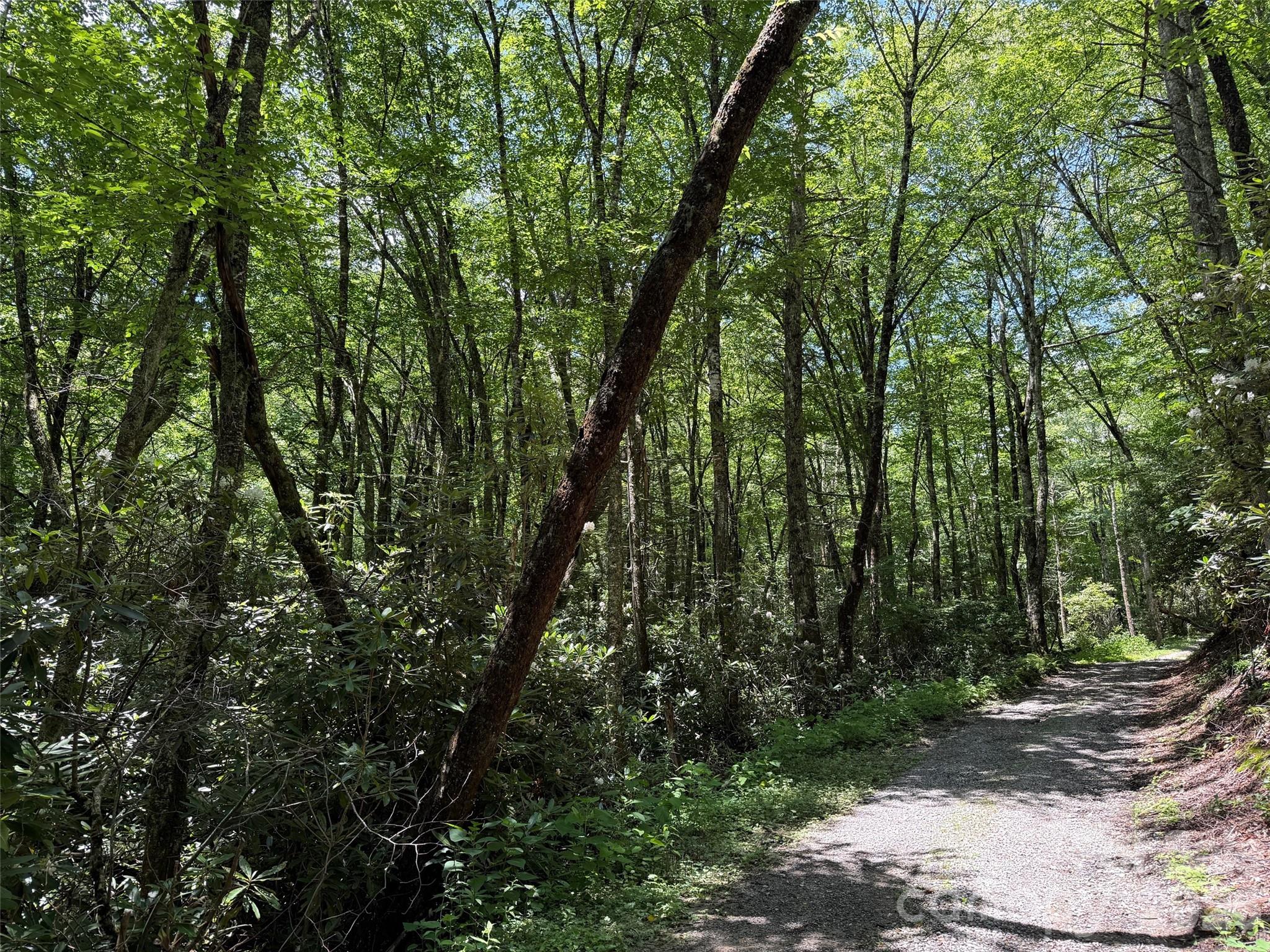 Lot #67 Spring Drive Maggie Valley NC 28751