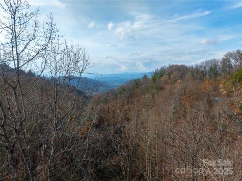 00 Seven Glens Drive Weaverville NC 28787