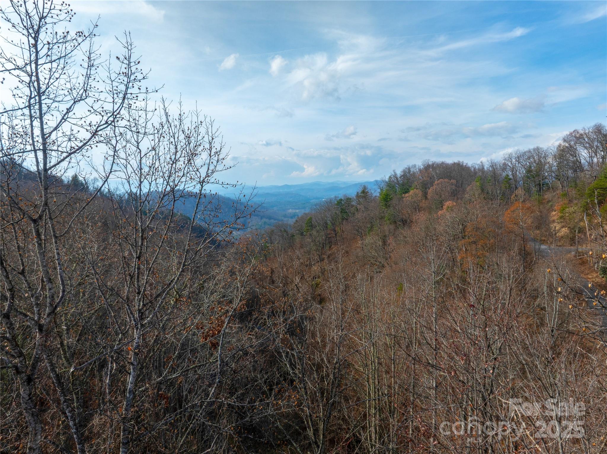 00 Seven Glens Drive Weaverville NC 28787
