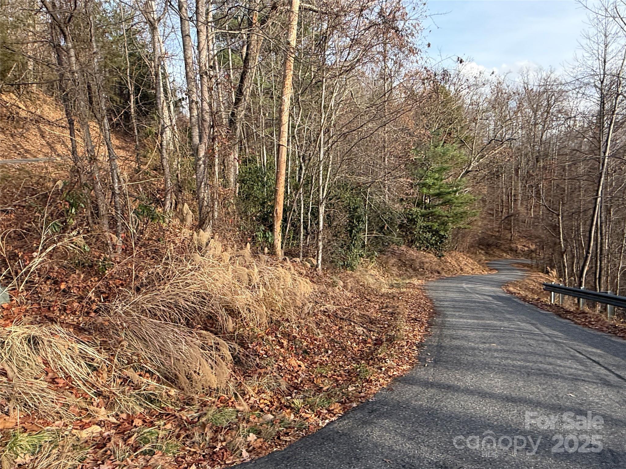 00 Seven Glens Drive Weaverville NC 28787