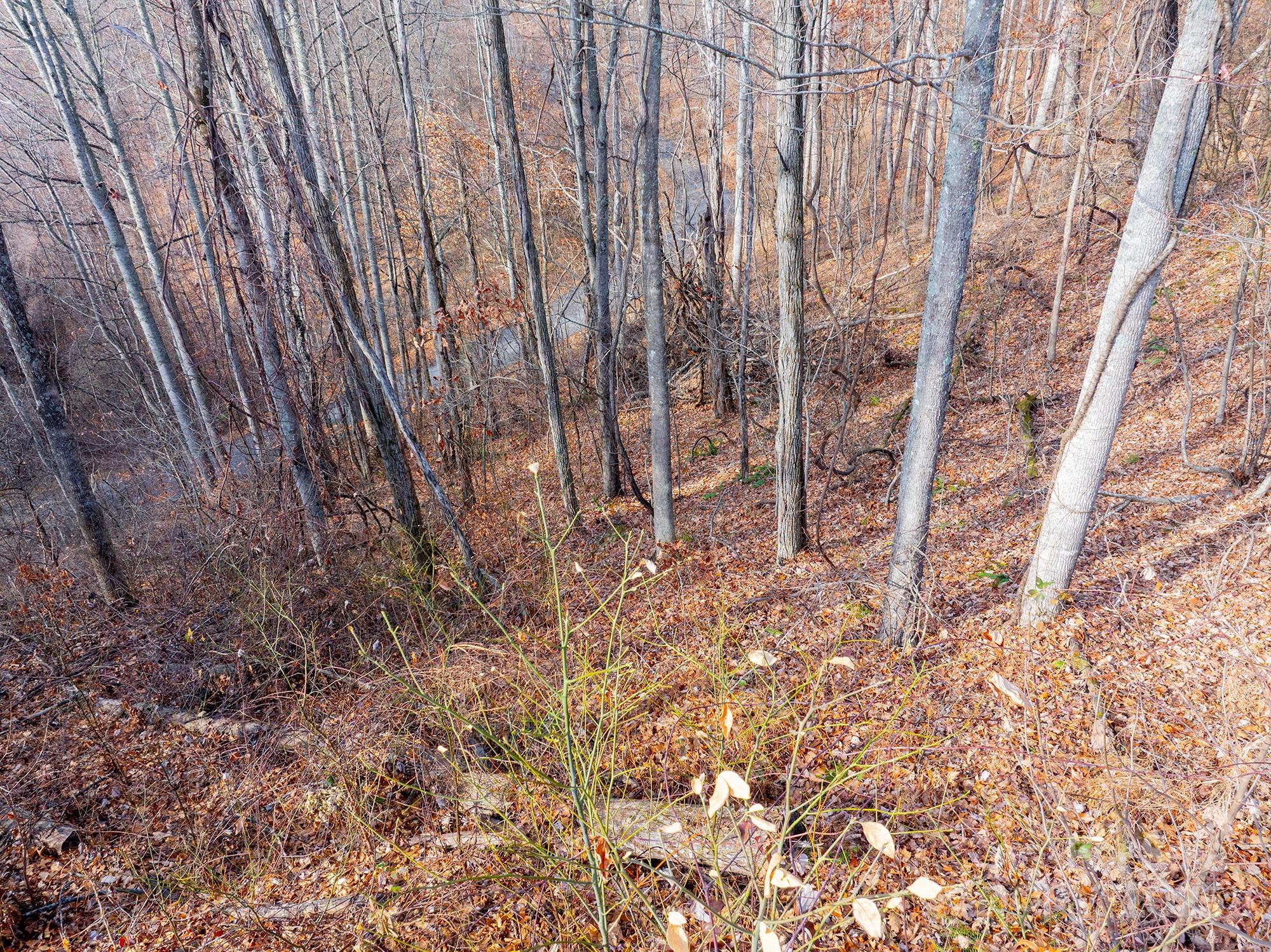 00 Seven Glens Drive Weaverville NC 28787