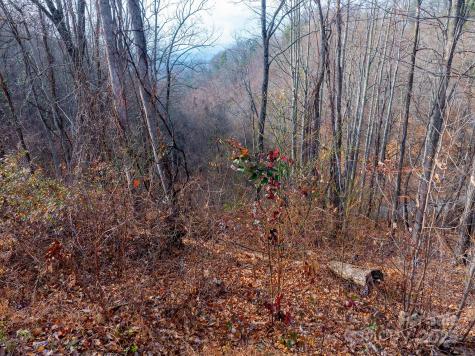 00 Seven Glens Drive Weaverville NC 28787