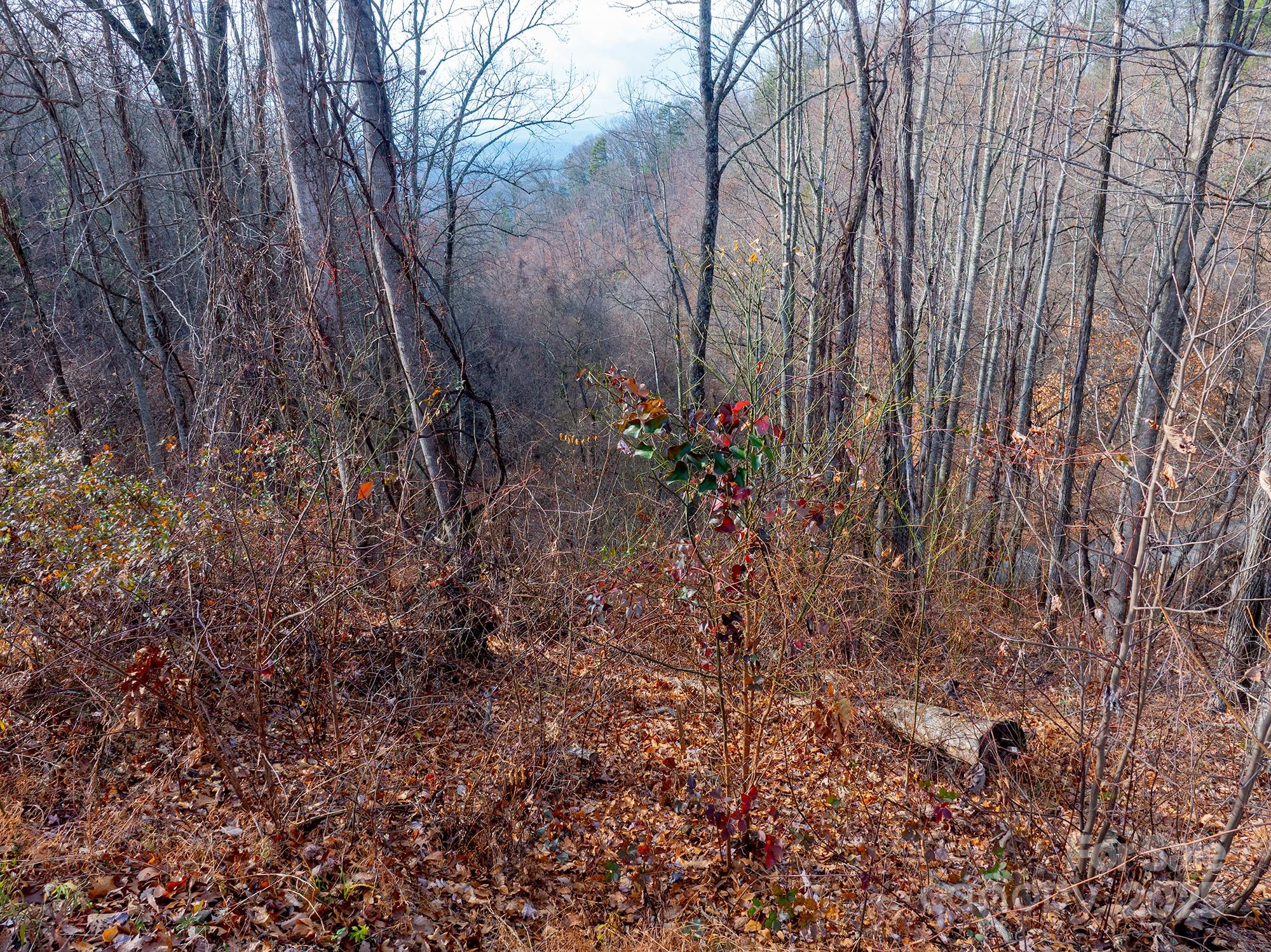 00 Seven Glens Drive Weaverville NC 28787