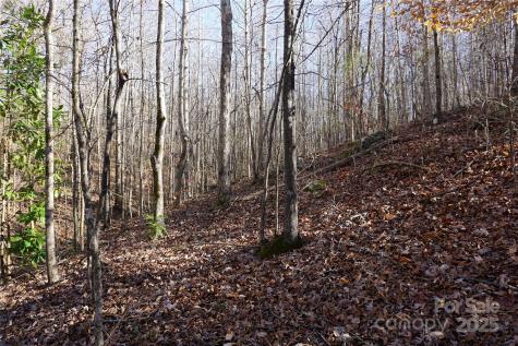 10+/-AC Ramah Church Road York SC 29745