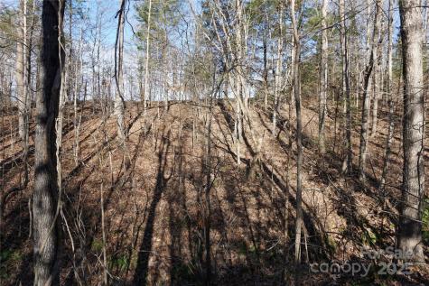 10+/-AC Ramah Church Road York SC 29745