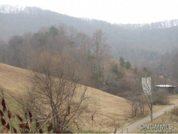 8 S. Lindon Cove Road Candler NC 28715