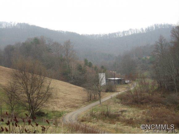 8 S. Lindon Cove Road Candler NC 28715