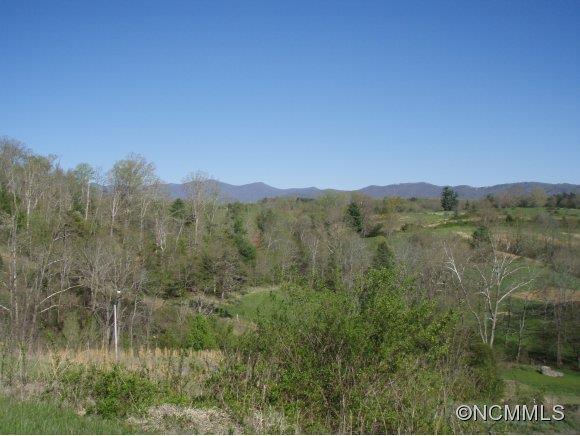 20 Adas Way Weaverville NC 28787