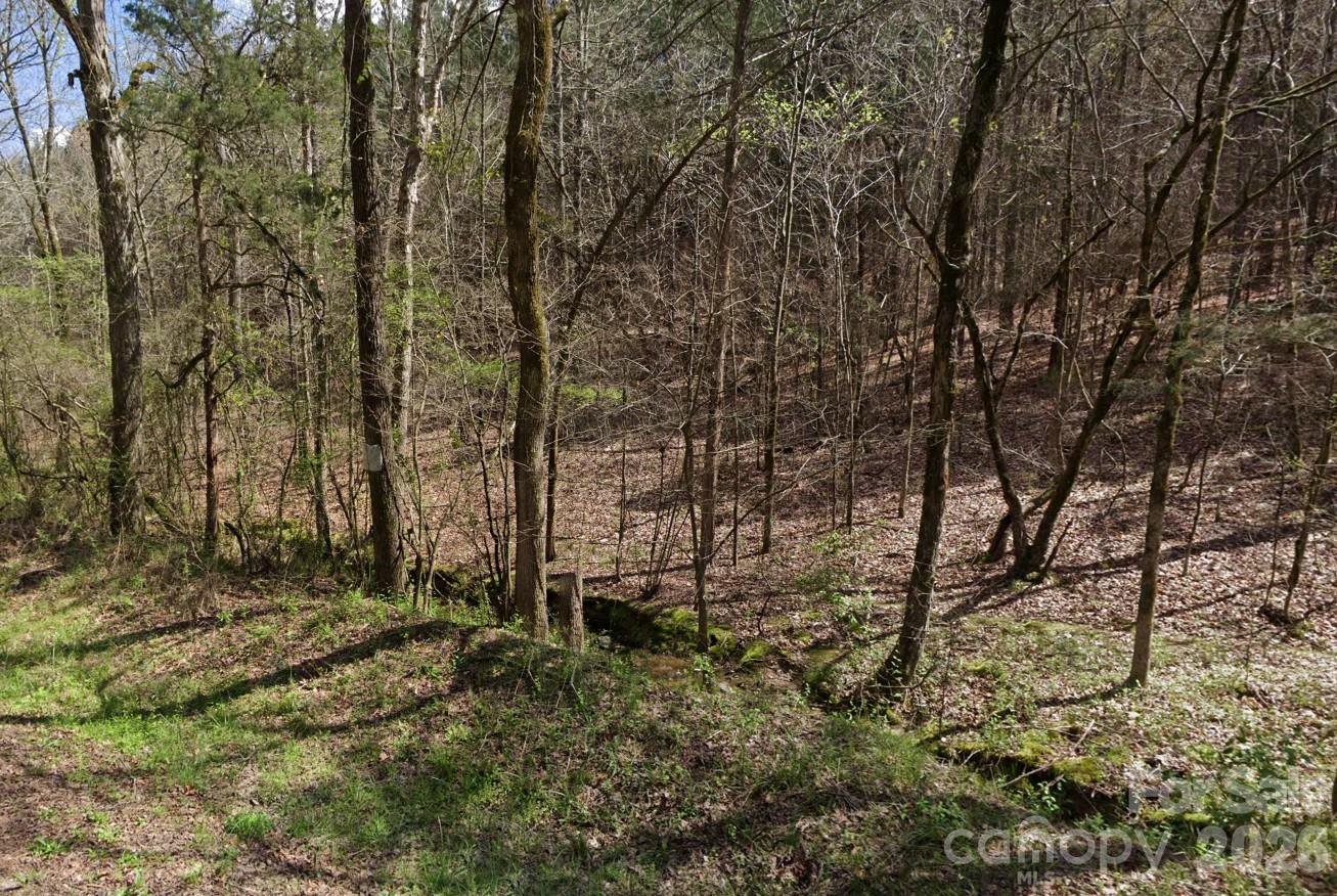 0 Morton Road Polkton NC 28135