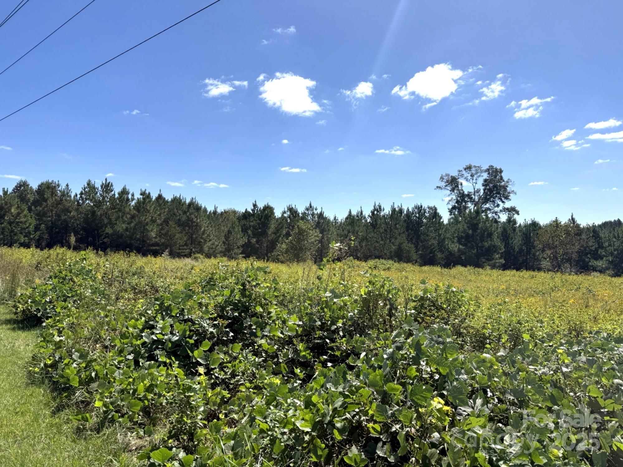 1178 Pea Ridge Road Mill Spring NC 28756