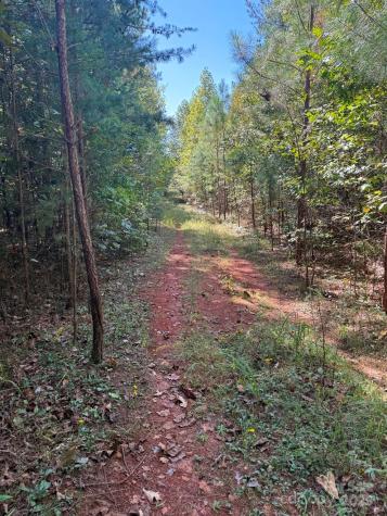 1178 Pea Ridge Road Mill Spring NC 28756