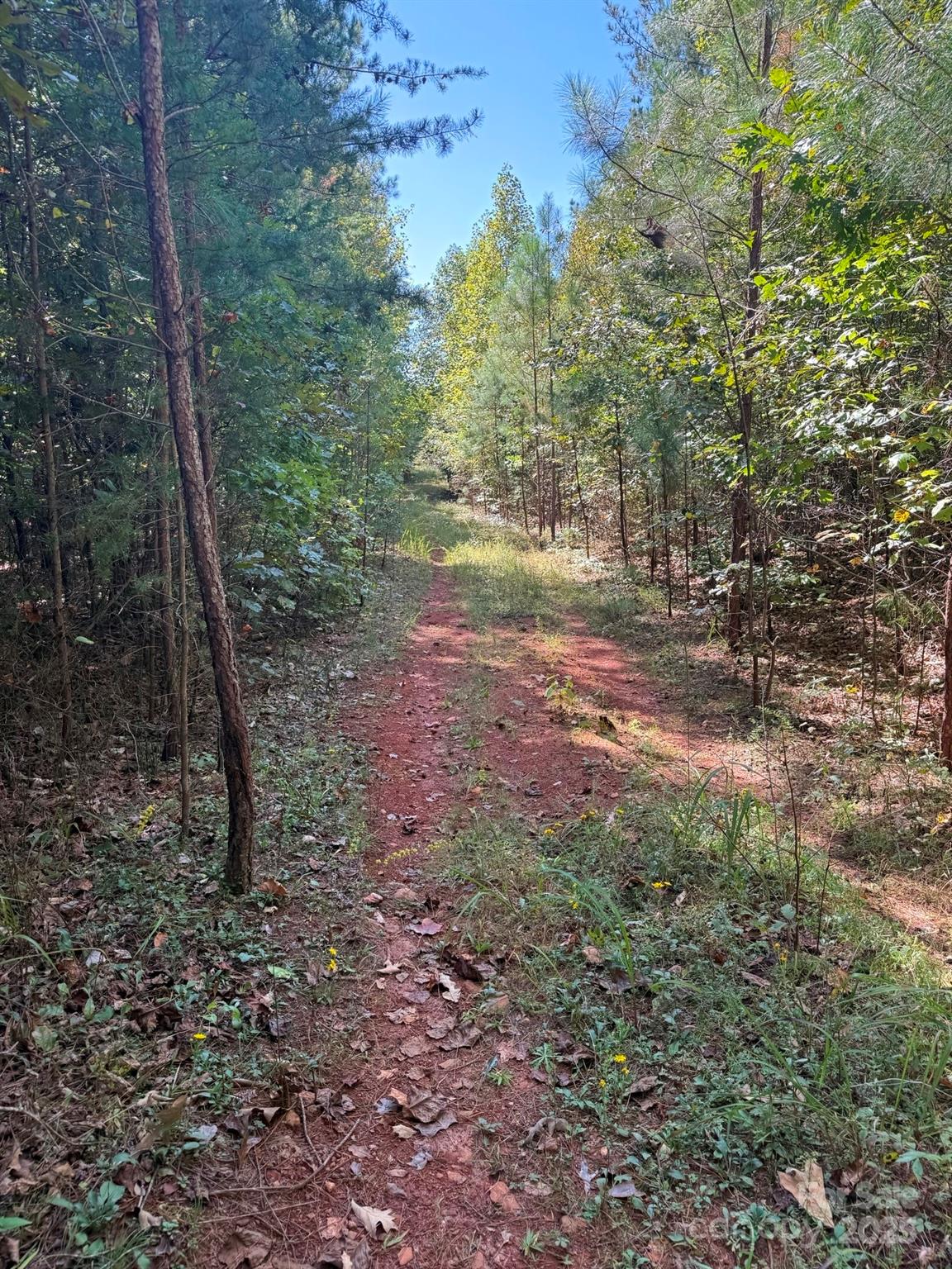 1178 Pea Ridge Road Mill Spring NC 28756