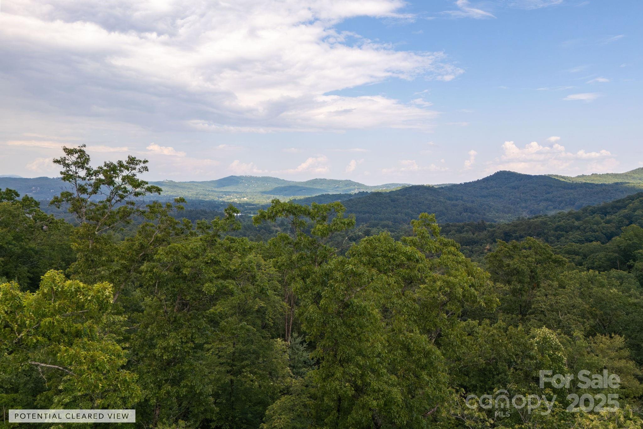 Lot # 5 Masterpiece View Drive Hendersonville NC 28739