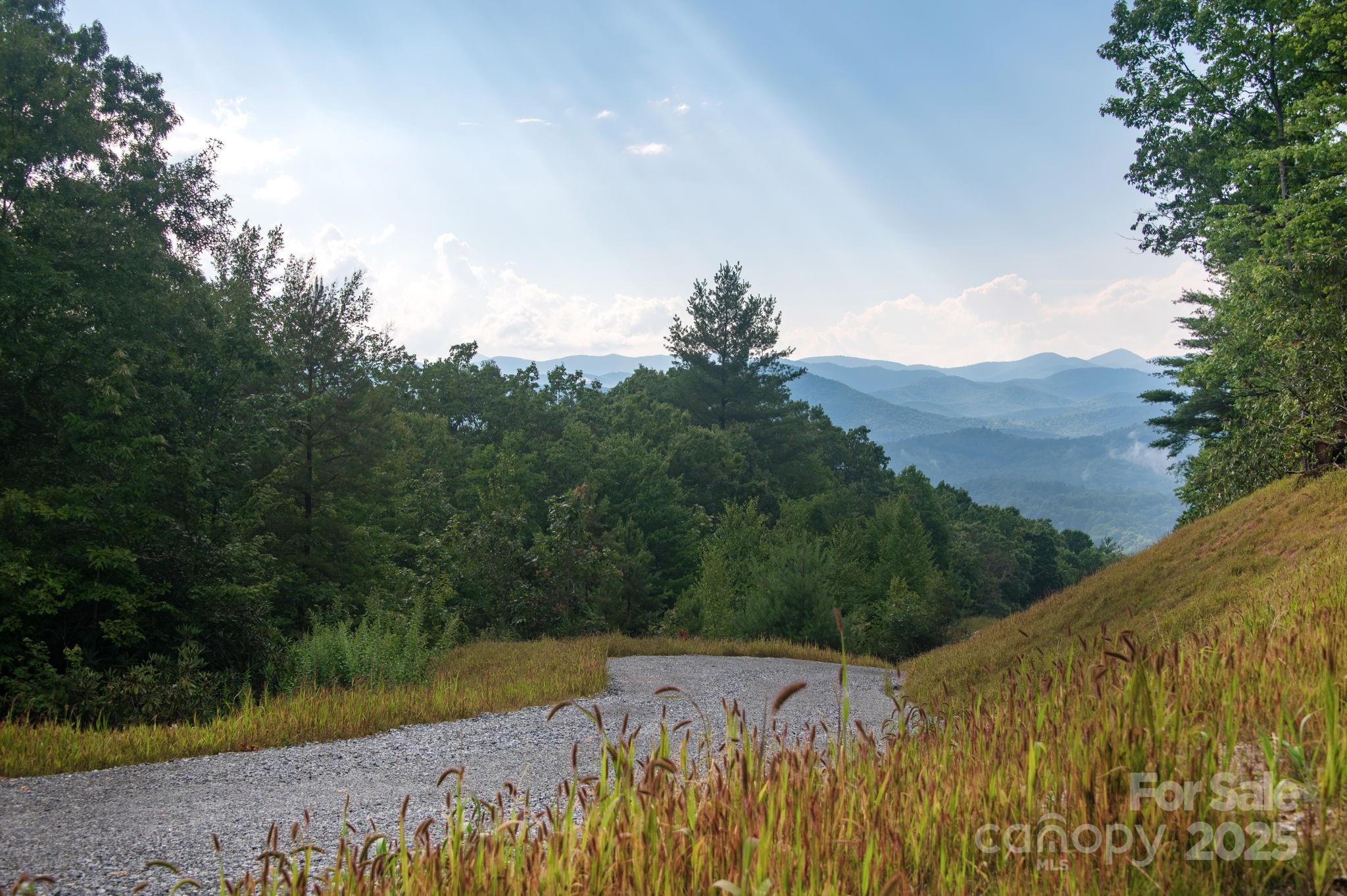 Lot # 5 Masterpiece View Drive Hendersonville NC 28739