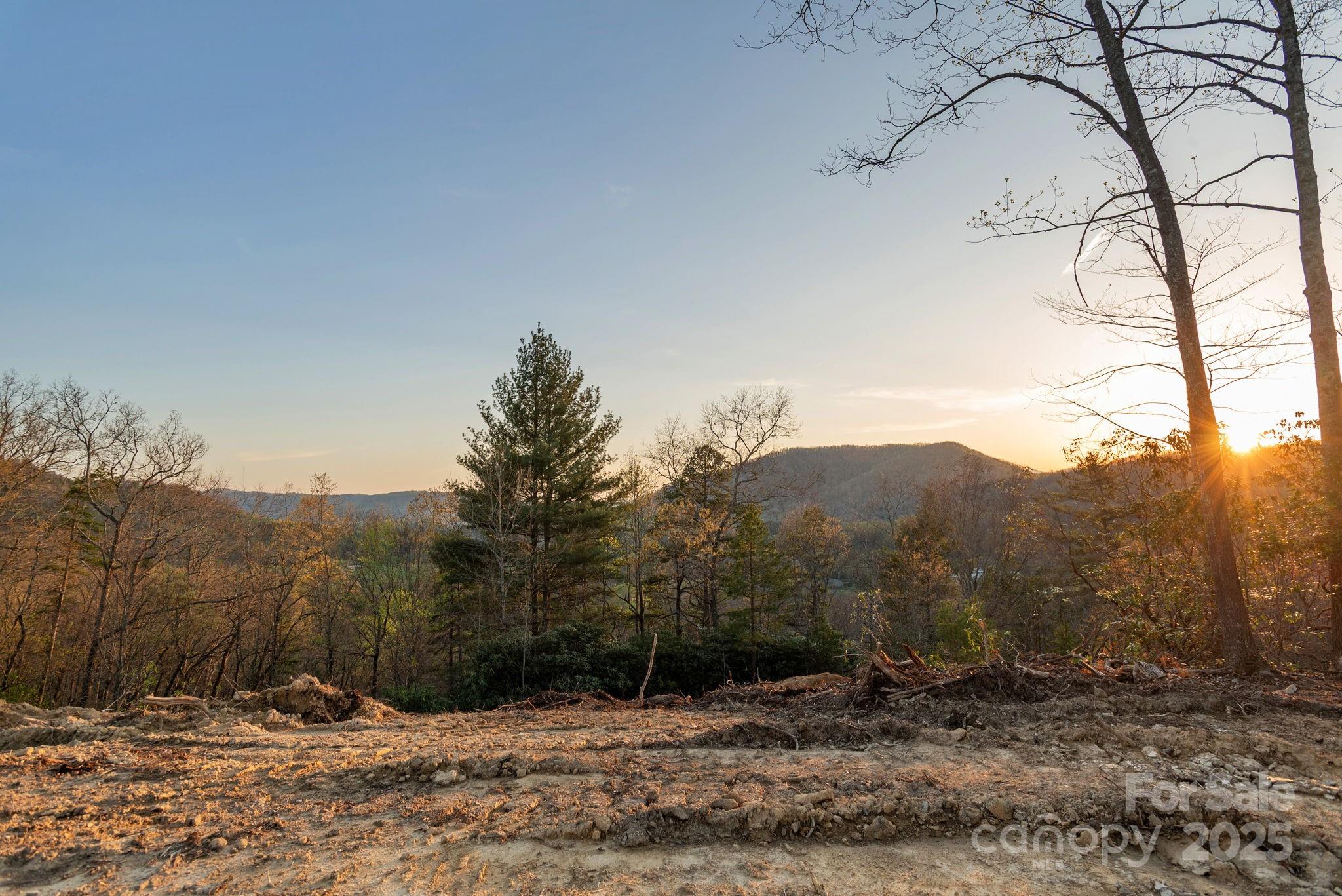 Lot # 5 Masterpiece View Drive Hendersonville NC 28739