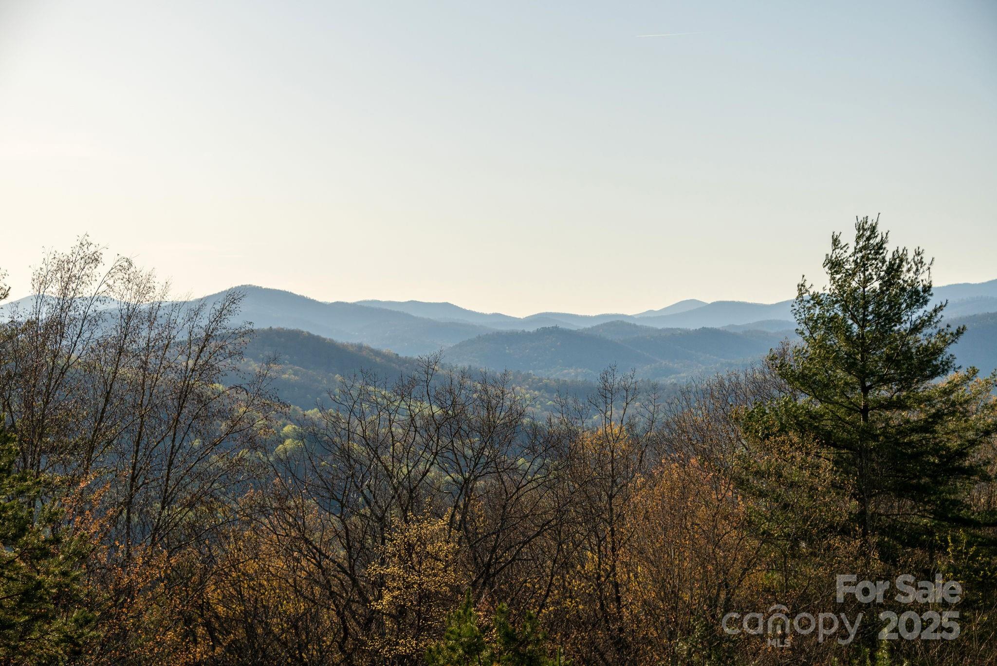 Lot # 5 Masterpiece View Drive Hendersonville NC 28739